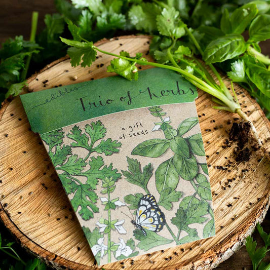 Green Gift Guide: Sustainable and Eco Friendly Housewarming Gifts