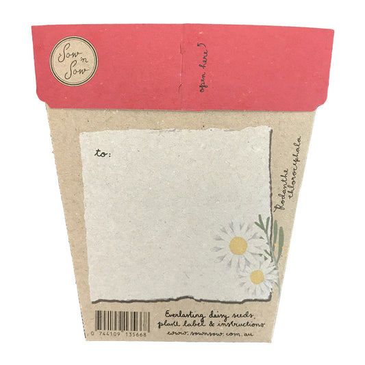 Sow n Sow Gift of Seeds - Australian Christmas (Christmas Edition)