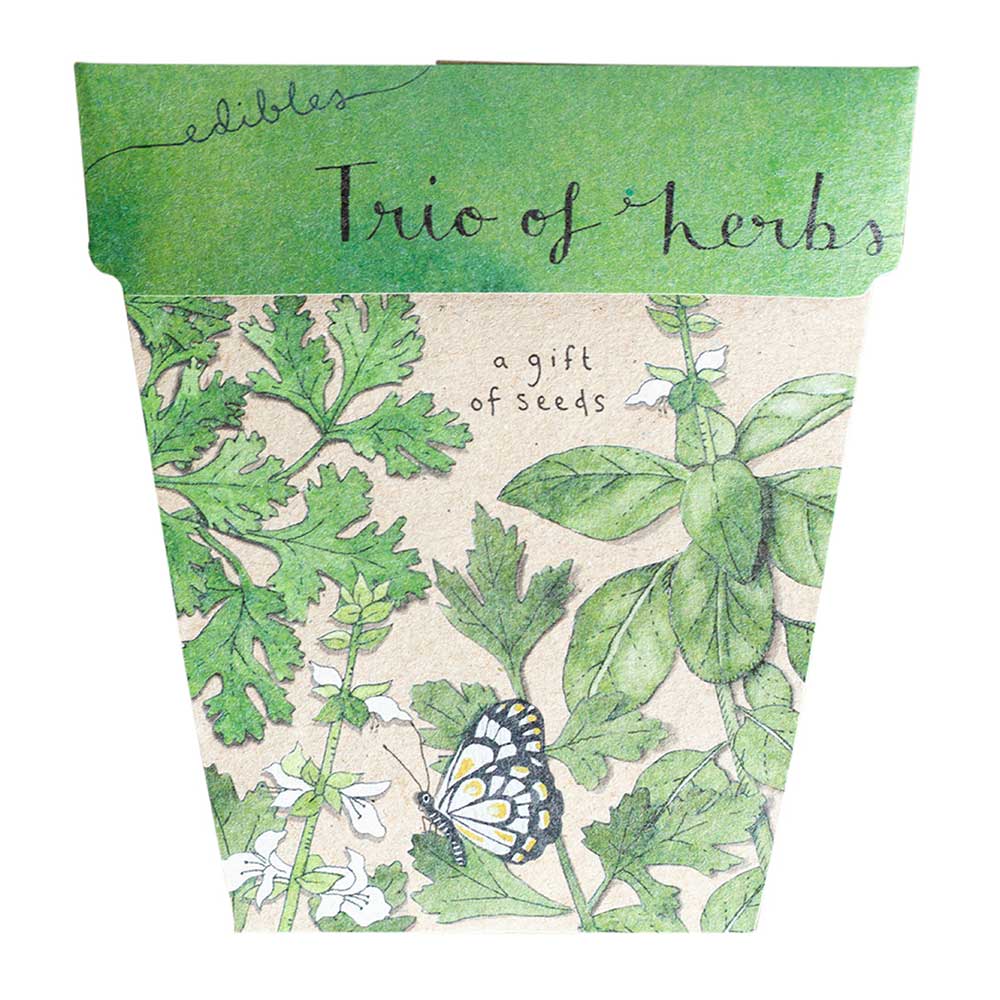 Sow n Sow Gift of Seeds Herbs
