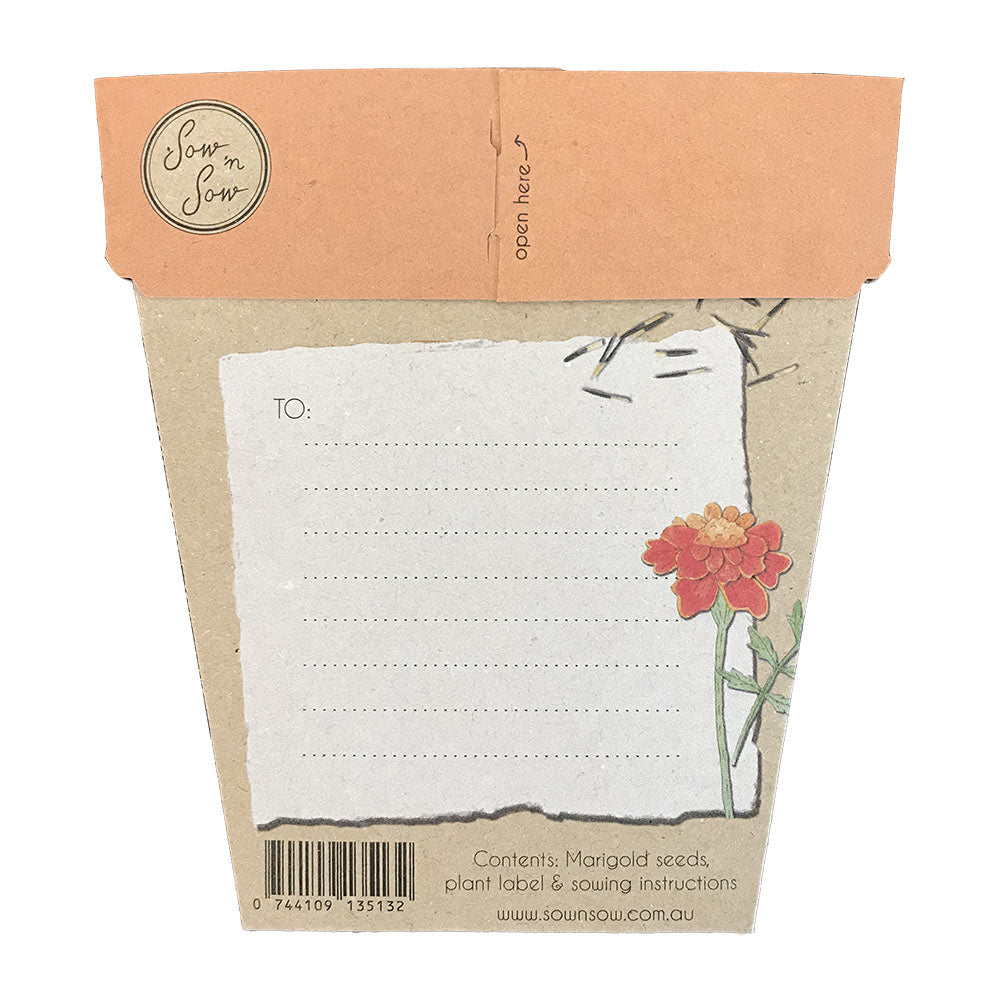 Sow n Sow Gift of Seeds Marigold