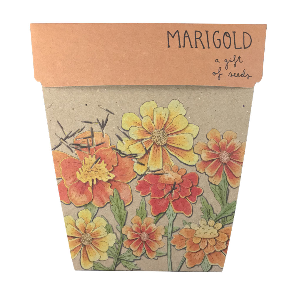 Gift of Seeds Marigold