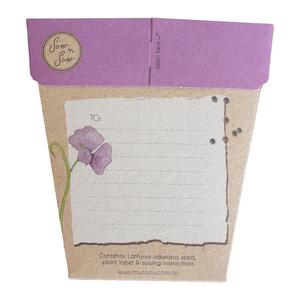 Gift of Seeds Sweet Pea back