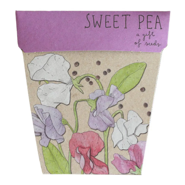 Sow n Sow Gift of Seeds Sweet Pea