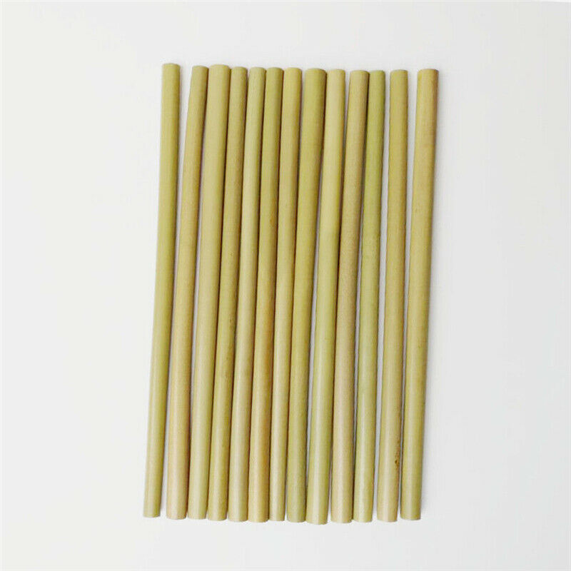 12 Pack Eco Friendly Bamboo Straws