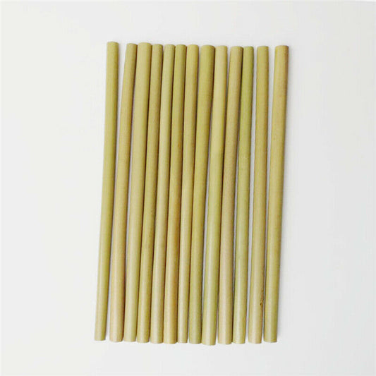 12 Pack Eco Friendly Bamboo Straws