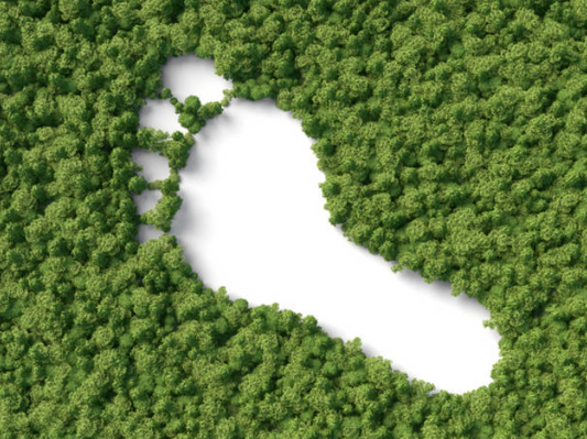 Reduce your carbon footprint