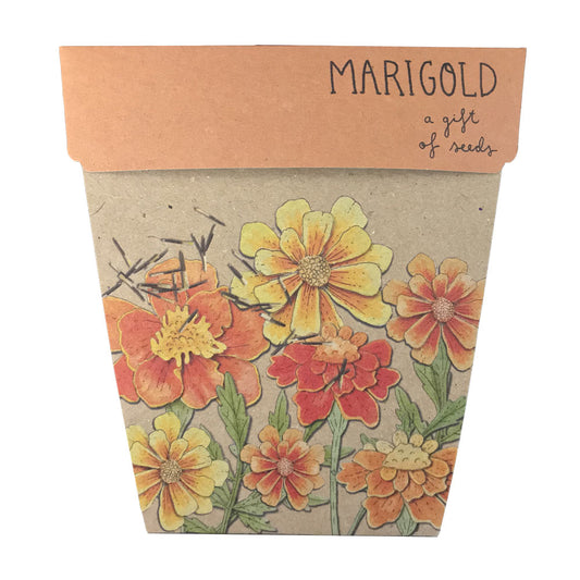 Gift of Seeds Marigold 