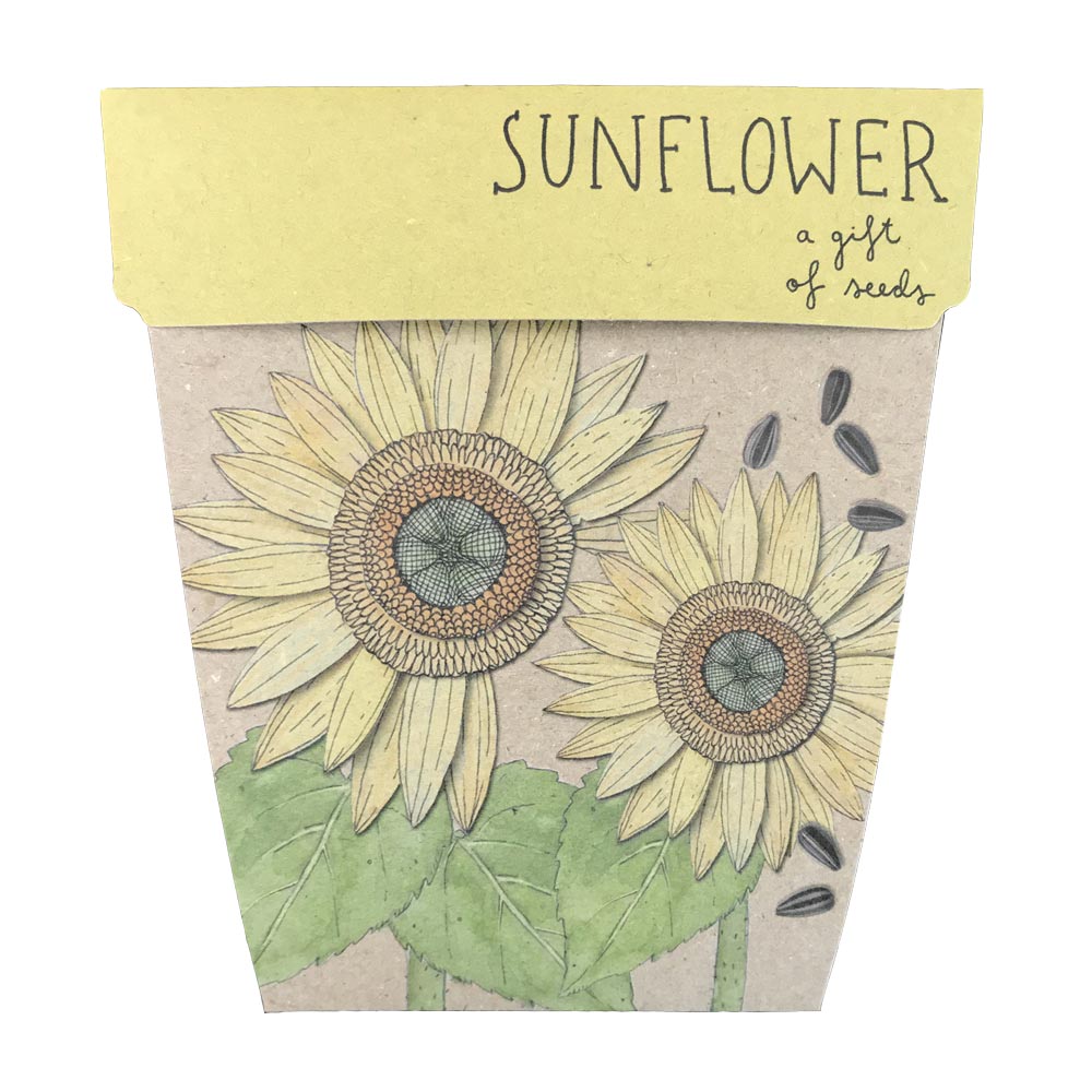 Sow n Sow Gift of Seeds Sunflower