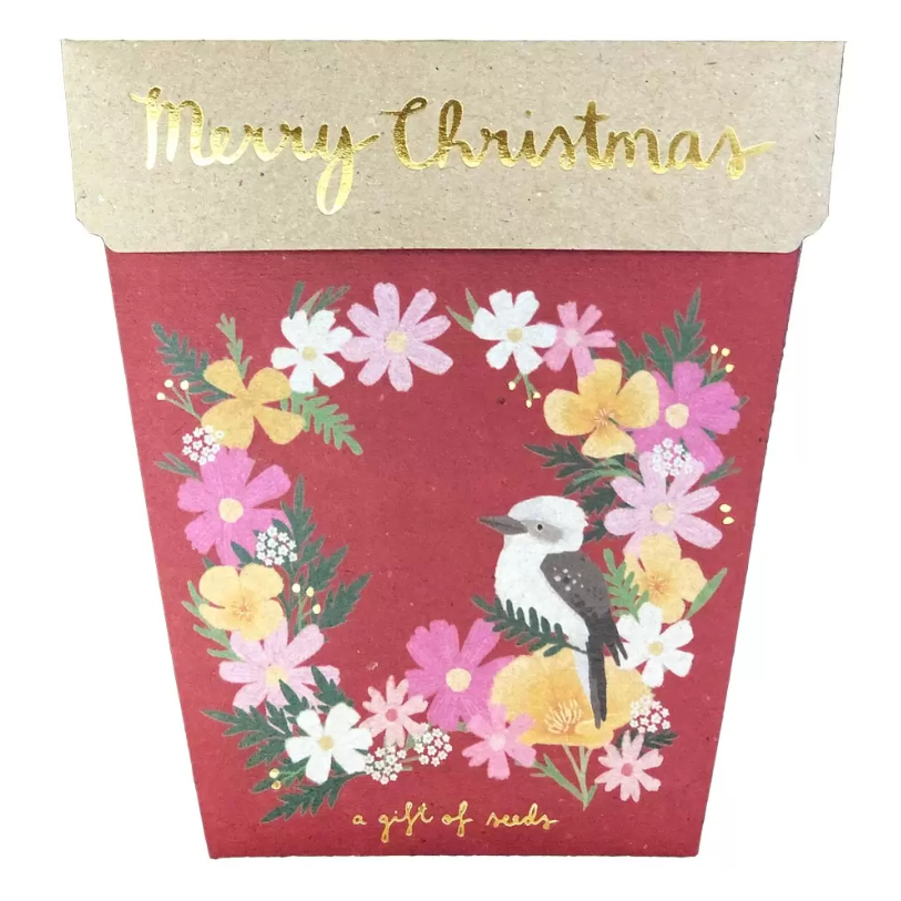 Sow n Sow Gift of Seeds - Christmas Wildflowers (Christmas Edition)