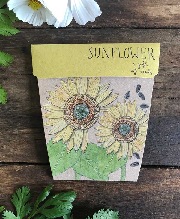 Gift of Seeds Sunflower